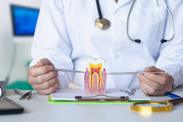 Best Broken or Cracked Tooth Emergency Dentist in Toftrees, PA